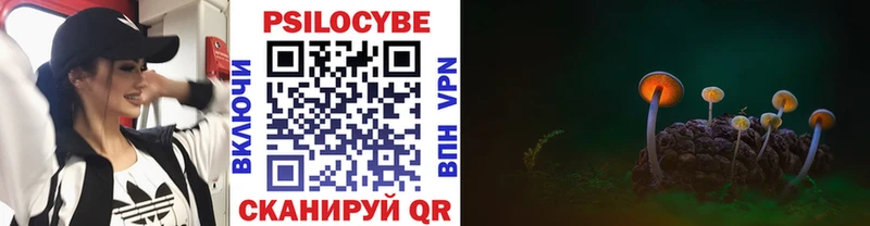 Псилоцибиновые грибы Magic Shrooms  где купить наркотик  Урень 